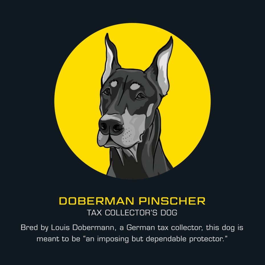 394DN-2114_DPF_IG_Pro89_WorkingDogs_1200x1200_3