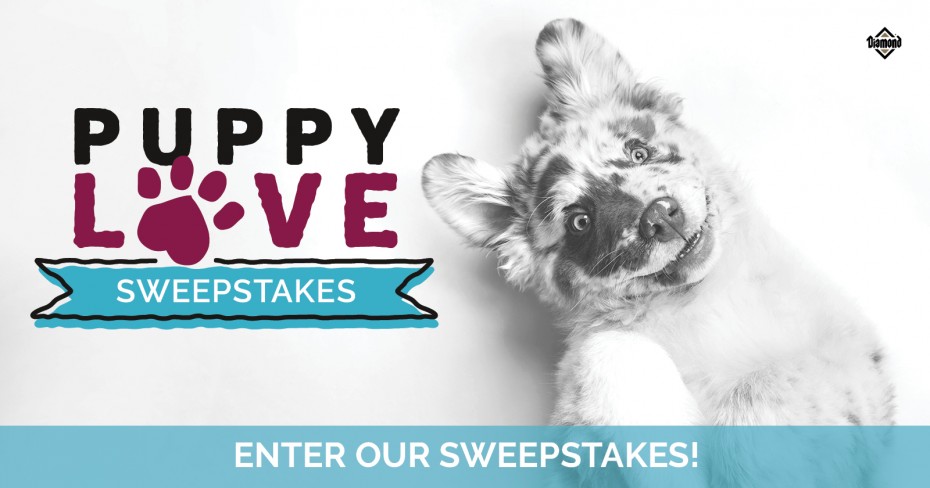 394DN-2224E_DPF_PuppyLoveSweepstakes_LinkPreview_1200x630