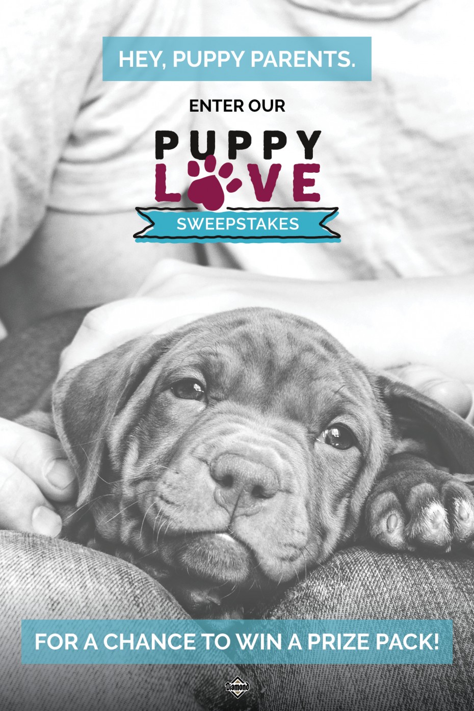 394DN-2224E_DPF_PuppyLoveSweepstakes_Pin_1000x1500_Reminder
