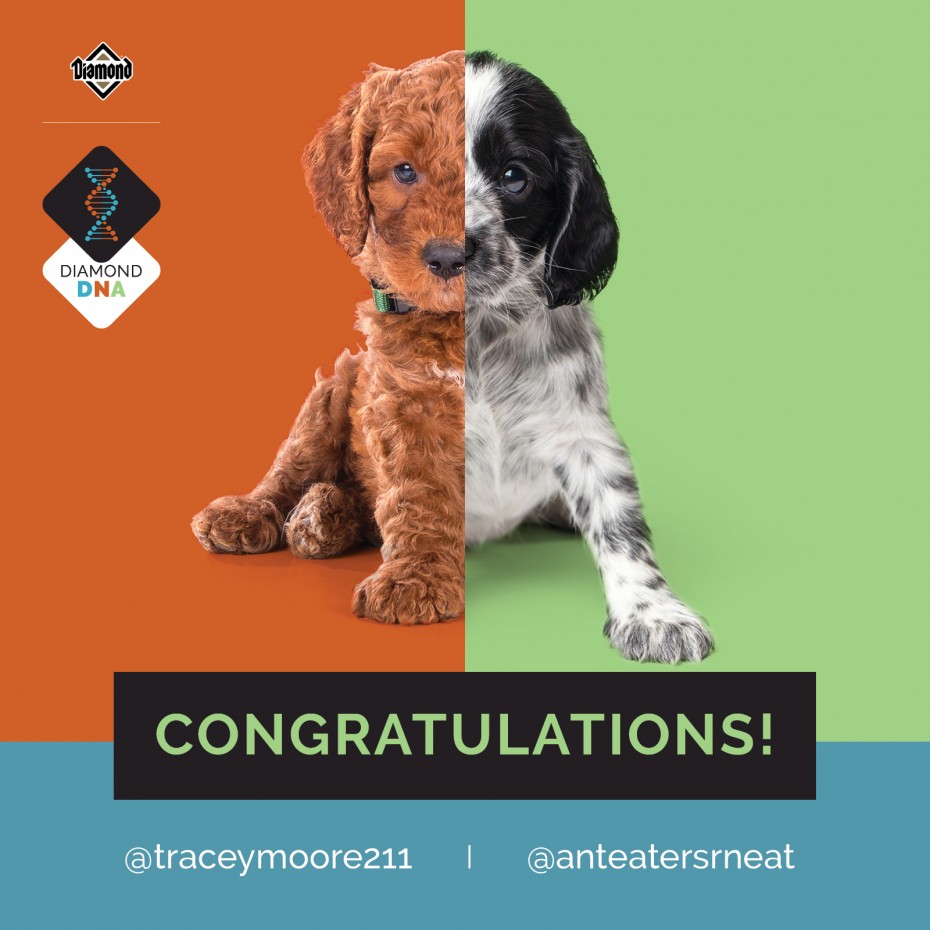 394DN-2228C_DiamondDNA_IG_1200x1200_Winners